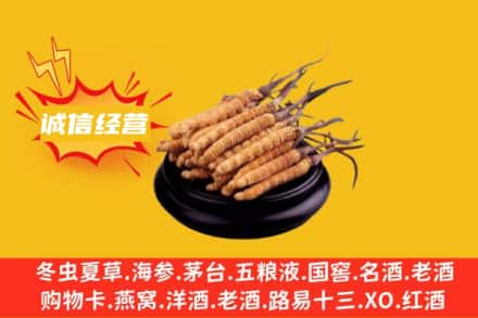 舟山普陀区回收冬虫夏草